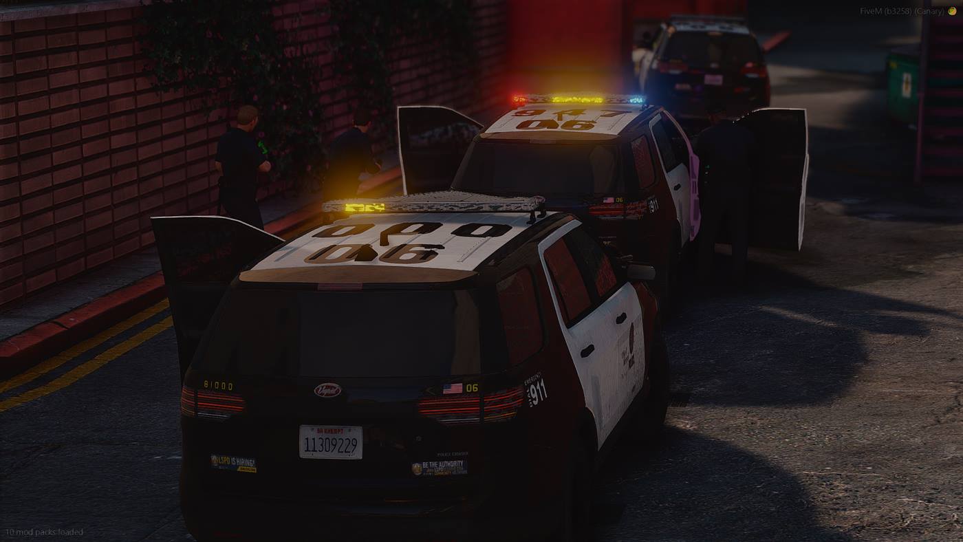 LSPD police stop at night
